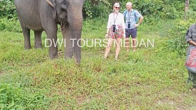 3D2N Medan – Bukit Lawang – Tangkahan: Jungle Trekking, Wildlife Adventure (Beyond the Trek) - Image - 13664